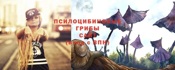 стаф Приозерск