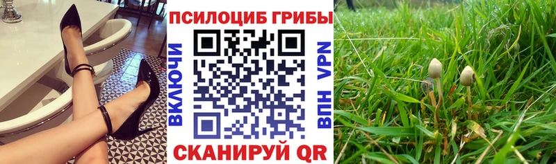 Галлюциногенные грибы Cubensis  мега маркетплейс  Исилькуль 