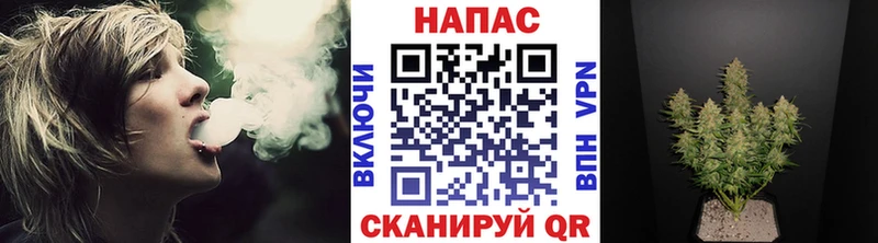 Бошки Шишки Amnesia  Исилькуль 